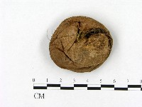 登錄號:F0021936藏品圖，第3張