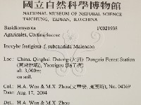 登錄號:F0021938藏品圖，第2張