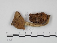 登錄號:F0021938藏品圖，第3張