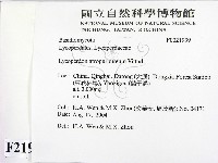登錄號:F0021939藏品圖，第2張