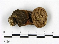 登錄號:F0021939藏品圖，第3張