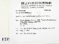 登錄號:F0021940藏品圖，第2張