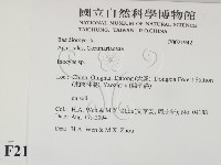 登錄號:F0021942藏品圖，第2張