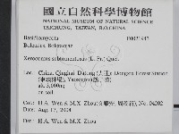 登錄號:F0021943藏品圖，第2張