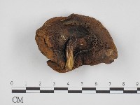 登錄號:F0021943藏品圖，第1張