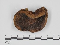 登錄號:F0021943藏品圖，第3張