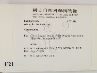 登錄號:F0021944藏品圖，第2張