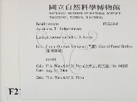 登錄號:F0021945藏品圖，第2張