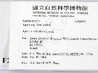 登錄號:F0021946藏品圖，第2張