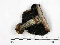 登錄號:F0021946藏品圖，第3張