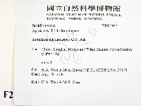 登錄號:F0021947藏品圖，第2張