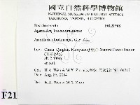 登錄號:F0021948藏品圖，第2張