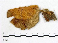 登錄號:F0021948藏品圖，第1張