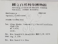 登錄號:F0021949藏品圖，第2張