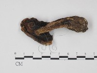 登錄號:F0021950藏品圖，第3張