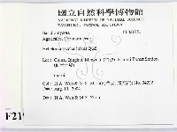 登錄號:F0021951藏品圖，第2張
