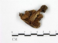 登錄號:F0021951藏品圖，第3張