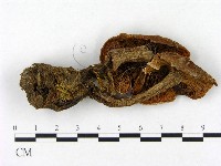 登錄號:F0021953藏品圖，第3張