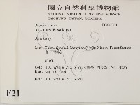 紅菇屬藏品圖，第2張