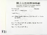 登錄號:F0021956藏品圖，第2張