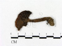 登錄號:F0021956藏品圖，第3張