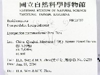 登錄號:F0021957藏品圖，第2張