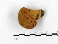 登錄號:F0021957藏品圖，第3張