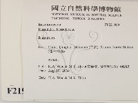 紅菇屬藏品圖，第2張