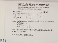 多孔菌屬藏品圖，第2張