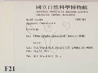 登錄號:F0021966藏品圖，第2張