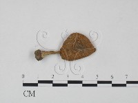 登錄號:F0021966藏品圖，第1張