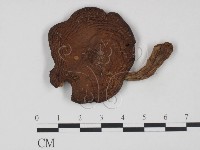 登錄號:F0021967藏品圖，第1張