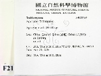 登錄號:F0021969藏品圖，第2張