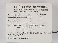 登錄號:F0021970藏品圖，第2張