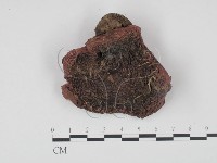 登錄號:F0021970藏品圖，第1張