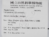 登錄號:F0021974藏品圖，第2張