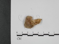 登錄號:F0021976藏品圖，第3張
