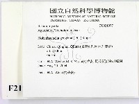 登錄號:F0021977藏品圖，第2張