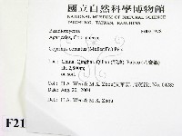 登錄號:F0021978藏品圖，第2張
