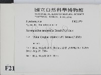 登錄號:F0021979藏品圖，第2張