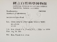 登錄號:F0021980藏品圖，第2張