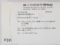 登錄號:F0021981藏品圖，第2張