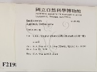 登錄號:F0021984藏品圖，第2張