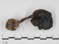 登錄號:F0021984藏品圖，第1張