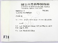 登錄號:F0021986藏品圖，第2張