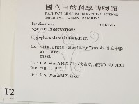 登錄號:F0021987藏品圖，第2張