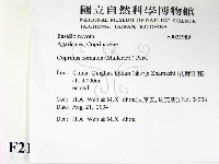 登錄號:F0021989藏品圖，第2張