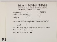 紅菇屬藏品圖，第2張
