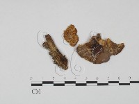 登錄號:F0021992藏品圖，第3張