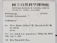 登錄號:F0021993藏品圖，第2張